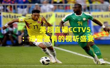 英超直播CCTV5：绿茵激情的视听盛宴