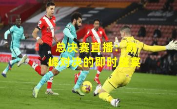  总决赛直播：巅峰对决的即时盛宴